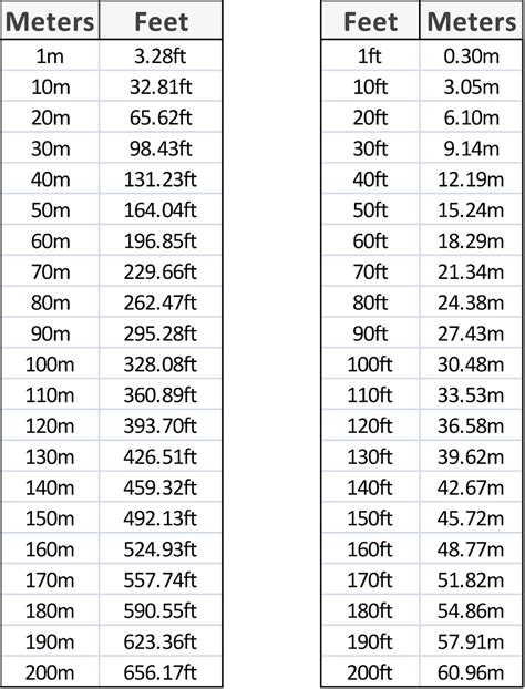 6.06 meters to feet